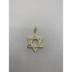 Colgante de plata de ley de...