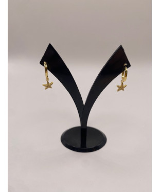 Pendientes de PLATA DE LEY...