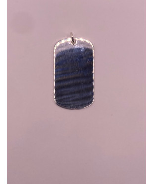 Placa de PLATA DE LEY de...